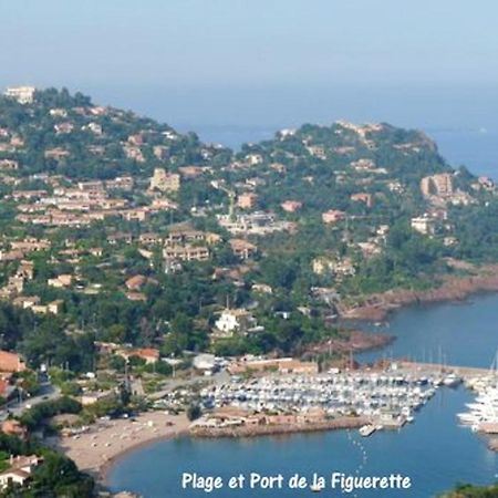 Апартаменты Studio A Theoule Sur Mer A 400 M De La Plage Avec Vue Sur La Mer Terrasse Amenagee Et Wifi Экстерьер фото