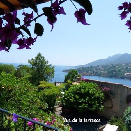 Апартаменты Studio A Theoule Sur Mer A 400 M De La Plage Avec Vue Sur La Mer Terrasse Amenagee Et Wifi Экстерьер фото